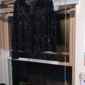 Zara Black Sequin Top
